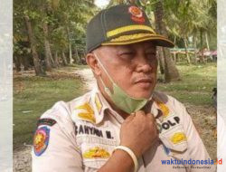 Diliarkan Kena Denda hingga 1 Juta, Plt Kasat Pol PP Pesibar Ingatkan Peternak