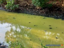 Limbah Tambak PT Indocom Cemari Sungai, DLH Segera Turun