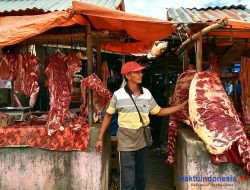 H-4 Lebaran, Harga Daging Dan Sembako Melonjak Naik Di Pesawaran