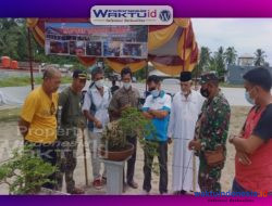Perdana! Kontes Bonsai Tingkat Nasional Bakal Digelar di Pesisir Barat, Ini Jadwal dan Kelasnya