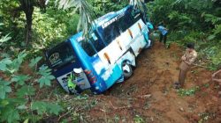 Bus PO Penantian Utama Masuk Jurang di Jalinbar Bangkunat: 1 Meninggal 31 Luka, Ini Kata Polisi