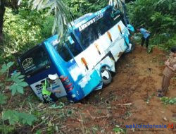 Bus PO Penantian Utama Masuk Jurang di Jalinbar Bangkunat: 1 Meninggal 31 Luka, Ini Kata Polisi