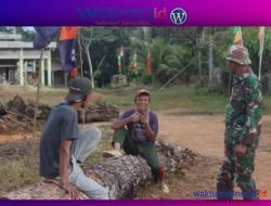 Melihat Keakraban TNI-Masyarakat saat TMMD Kodim 0422 Lampung Barat di Ngaras Pesisir Barat