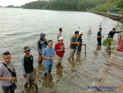 PT Astra Lampung Tanam 1000 Bibit Mangrove Di Teluk Pandan