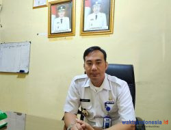 Bupati Agus Perjuangkan Nasib TKD Pesibar Ke BKN