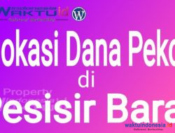 Alokasi Dana Pekon di Pesisir Barat 2022 belum Bertambah, Ini Kendalanya
