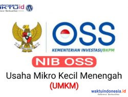 Dinas PMPTSP Pesisir Barat Imbau Pelaku UMKM Urus NIB