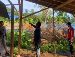 Polisi Hanya Amankan 5 Motor Saat Gerebek Arena Sabung Ayam di Pesawaran