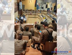 Pol PP Honorer Tuntut Diangkat ASN, Utusan FKBPPPN Pesisir Barat ke Komisi II DPR RI