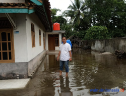 Sejumlah Rumah di Lintik Pesisir Barat Banjir, Ini Kata Aleg-Camat