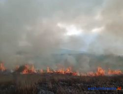 Padang Ilalang di Letusan Suoh Terbakar, Diduga Akibat Manifestasi Panas Bumi