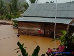 Banjir Genangi 8 Lokasi di Ngaras dan Ngambur Pesisir Barat