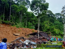 Longsor di Tebakak Pesisir Barat Timbun 1 Rumah, 3 Penghuni Meninggal: Pasutri dan Anak