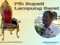 SK Pj Bupati Lampung Barat belum Terbit, Plh? Kapuspen Kemendagri Sebut Pejabat Ini