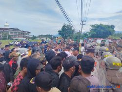 Petani Plasma Pesisir Barat Gelar Aksi Damai Terkait Konflik Lahan Perkebunan Sawit PT KCMU