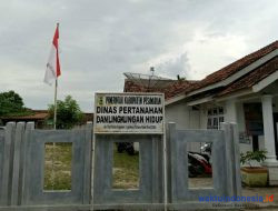 Pencemaran Sungai, Dua Surat DLH Pesawaran Ke Provinsi Tak Dianggap