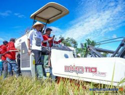 Pj Bupati Pringsewu Hadiri Panen Raya Padi VUB Invari 32 Di Pardasuka