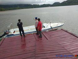 Waspada.. Seekor Buaya Muara Muncul Di Perairan Teluk Pandan