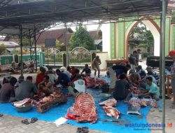 Masjid Al Muttaqin Bagelen Sembelih Hewan Kurban 2 Sapi dan 21 Kambing