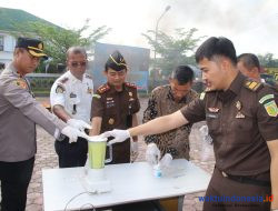 Barang Bukti 60 Perkara Pidum Dimusnahkan Kejari Pringsewu