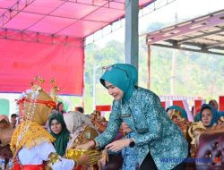 Tingkatkan Program Kerja PKK, Nanda Indira Dendi Sambangi Punduh Pedada