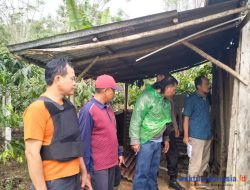 Pasutri di Sumberjaya Lampung Barat Bersimbah Darah: Suami Tewas, Istri Hamil Terluka di Perut