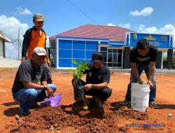 Hijaukan Lingkungan Kantor, PWI Pesawaran Tanam Ratusan Bibit Pohon