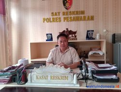 Sonokeling Hasil Illegal Logging, Polres Pesawaran Tunggu Hasil Lidik Polres Pringsewu