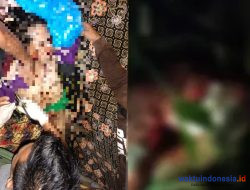 2 Warga Lampung Barat Tewas Diterkam Harimau, Polres-Kodim serta BKSDA dan BBTNBBS Bentuk Tim Tangkap Kucing Besar Itu