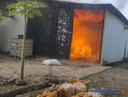 Goreng Kerupuk, Satu Rumah Ludes Dilalap Si Jago Merah di Pesawaran