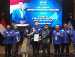 Pilkada Mesuji, Demokrat Usung Elfianah dan Yugi Wicaksono