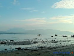 Urgent! Pantai Ketapang Terpapar Bakteri Patogen: Apa yang Harus Kamu Lakukan?