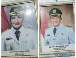 Beredar Figura Bupati dan Wabup Pesawaran, Kadis Kominfo: Tidak Sah
