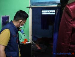 Polisi Berhasil Amankan 2 Pelaku Kasus Pembunuhan Warga Pekondoh di Waylima