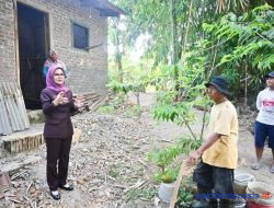 Pastikan Dibangun, Bupati Nanda Cek Jembatan Gantung di Gedongtataan