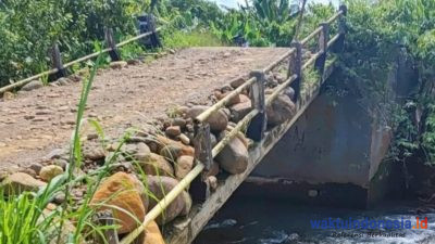 Cuaca Ekstrem, Longsor Rusak Jembatan di Sukajadi BNS Lampung Barat