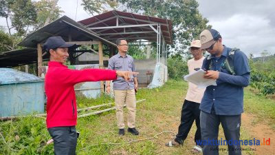 Disbunnak Lambar Dorong Penerapan Pertanian Organik, 21 Ha Kebun Kopi Tersertifikasi