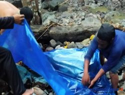 Menyeberang Sungai Kepayang Tanggamus Lampung saat Hujan Deras, 1 Pemuda Ditemukan Meninggal