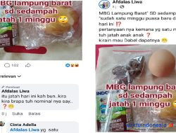 SD di Lampung Barat Baru Terima MBG Setelah Seminggu Ramadan Diunggah di Medsos, Begini Penjelasan SPPG
