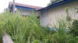 OD Cagar Budaya di LiwaLampung Barat