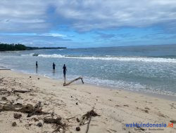 BREAKING NEWS: Wisatawan Asal Tulang Bawang Lampung Tenggelam di Pantai Labuhanjukung Pesisir Barat