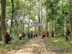 Wisata Pasar Tematik Lumbokseminung Danau Ranau Lampung Barat bakal Dikelola PT Eljohn, Bupati-Wabup Cek Aset
